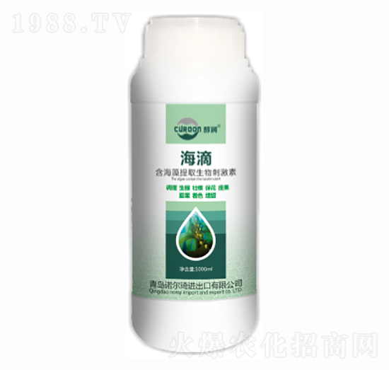 ����-�Z����