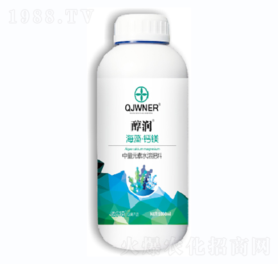 ���塤�}�V-����-�Z����