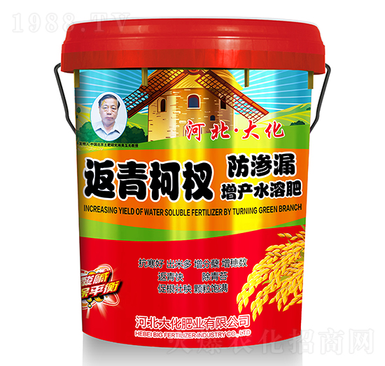 返青柯杈防滲漏增產(chǎn)水溶肥-大化肥業(yè)