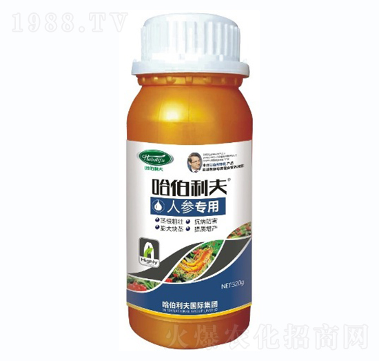 �˅�����-��������