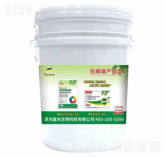 �������a(ch��n)�M��-�G���-�κ�����