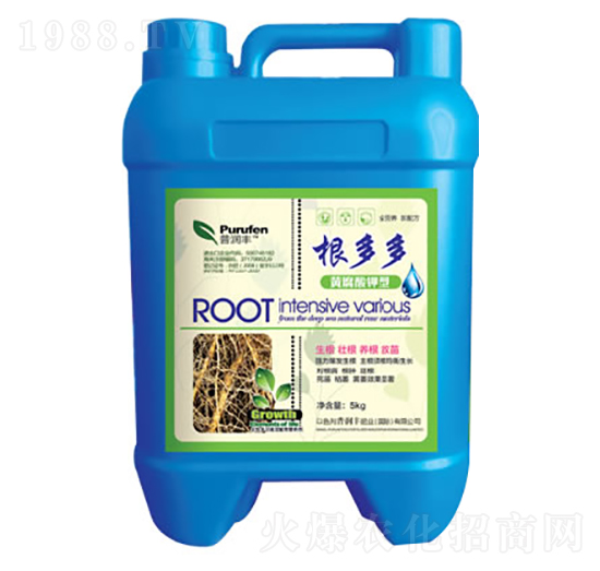 根多多-普潤(rùn)豐