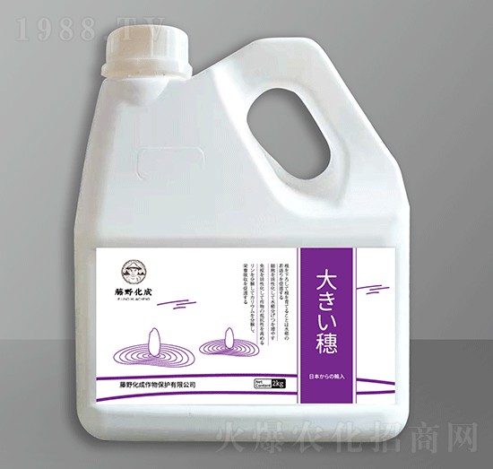 大穗（水稻拉長稻穗稻粒多）-藤野化成