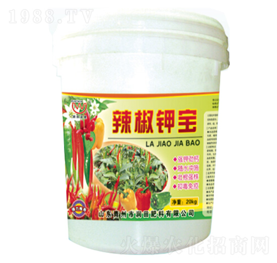 ����⛌�-�������