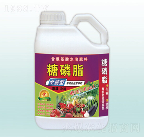 ����֬-��(r��n)�����