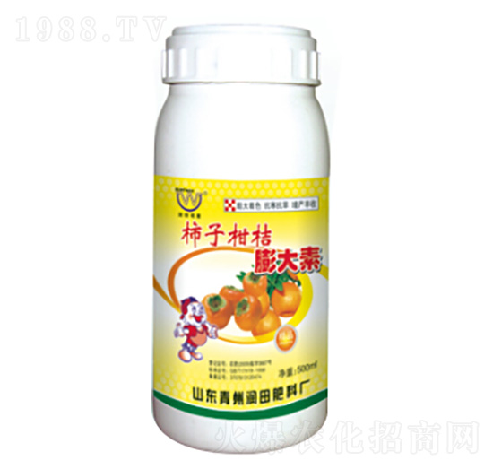 ���Ӹ��������-�������