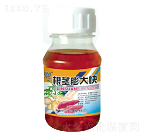 ���o����-�������