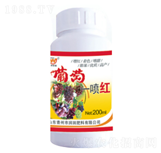 ����һ���t-�������