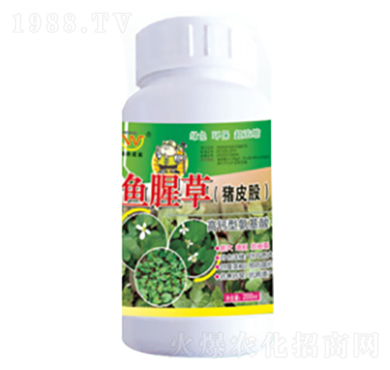 �~�Ȳݣ��iƤ�ɣ����ð������~���-�������