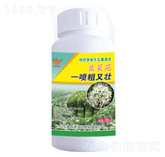 �²˻�һ�����։�-�������