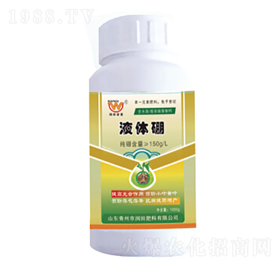 Һ�w��-�������