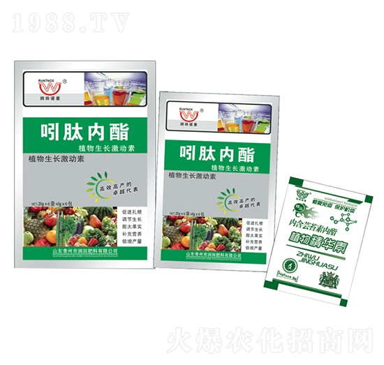 ���ă�֬A+B-�������