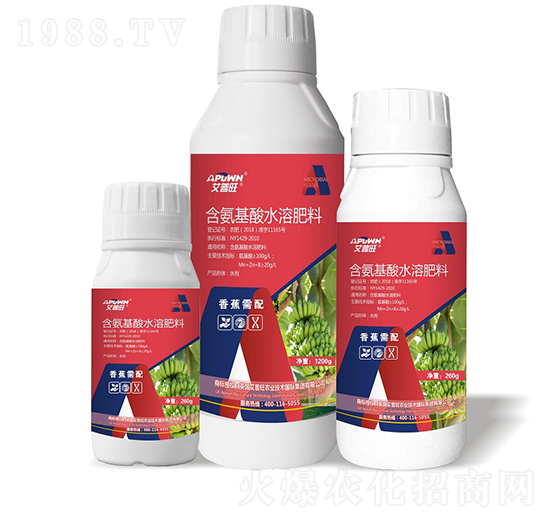 1200g香蕉需配含氨基酸水溶肥-艾普旺