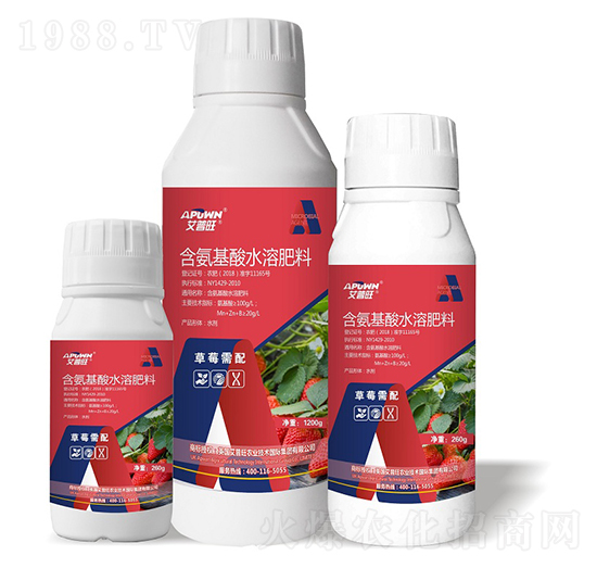 1200g草莓需配含氨基酸水溶肥-艾普旺