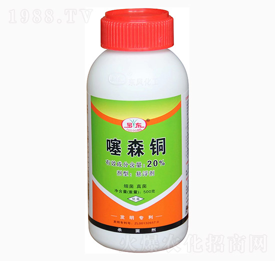 20%��ɭ�~-�|�L����