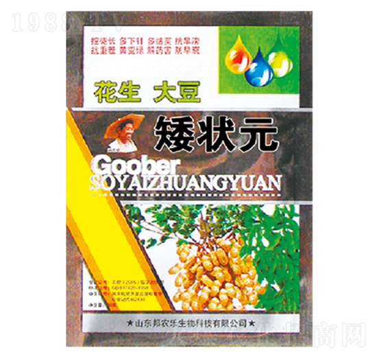 �����󶹰���Ԫ-��������