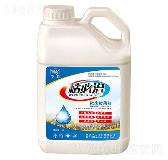 ΢�������-�ݱ���-����