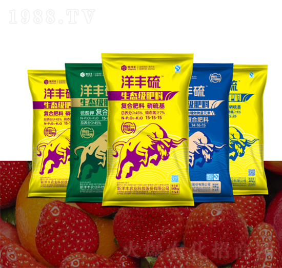 ���S�����B(t��i)������-�����S