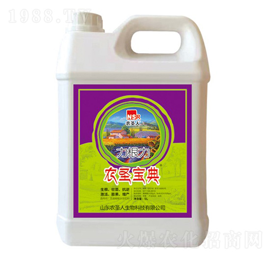 ������-�r(n��ng)ʥ����-�r(n��ng)ʥ��