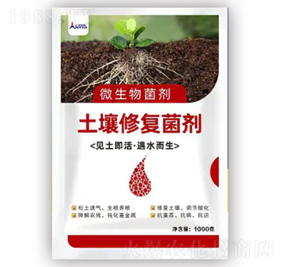 �����ޏ�(f��)����-������