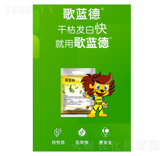 歌藍德-西大華特