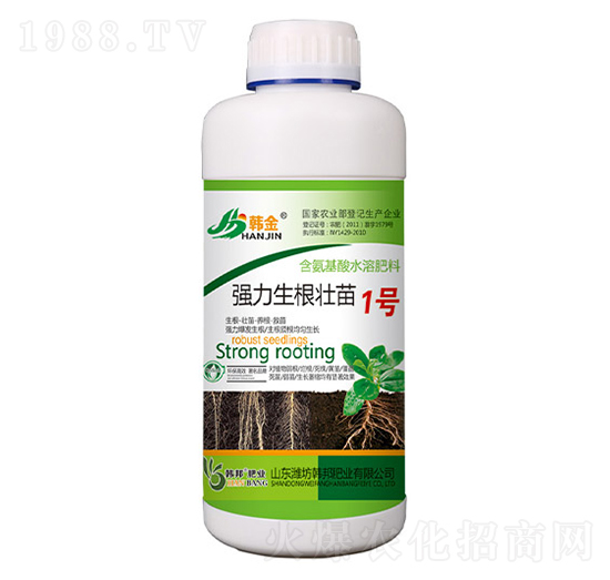 ������������1̖-�n��-�n��ʘI(y��)