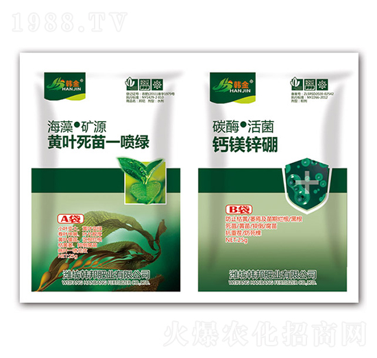 �S�~����һ���G+�}�V�\��-�n��-�n��ʘI(y��)