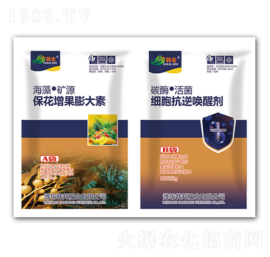 �������������-�������憾�ф�-�n��-�n��ʘI(y��)