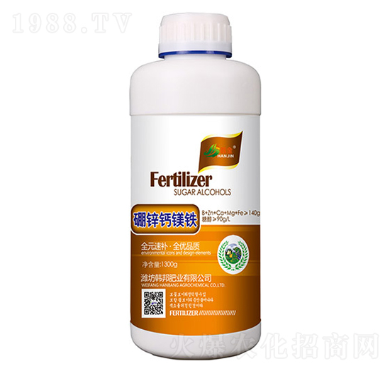 ���\�}�V�F-�n��-�n��ʘI(y��)