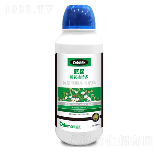 棉花桃鈴多-甄棉-歐道麥