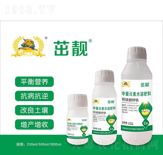 �}�V���\�F-�������r