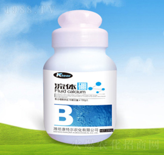 ƿ�b���w��-���ؠ��r��