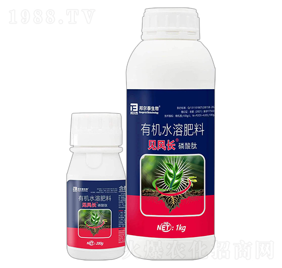 有機水溶肥料-見風長·磷酸肽-邦爾泰生物