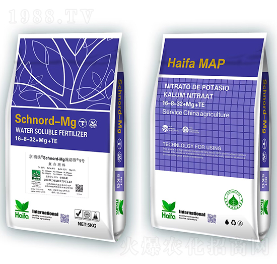 ʩ�Z��1̖(h��o)16-8-32+Mg+Te-�������Q(m��o)