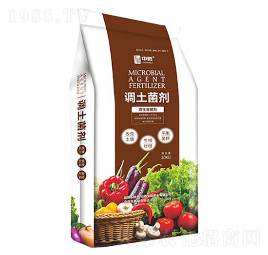 �{������-����ʘI(y��)