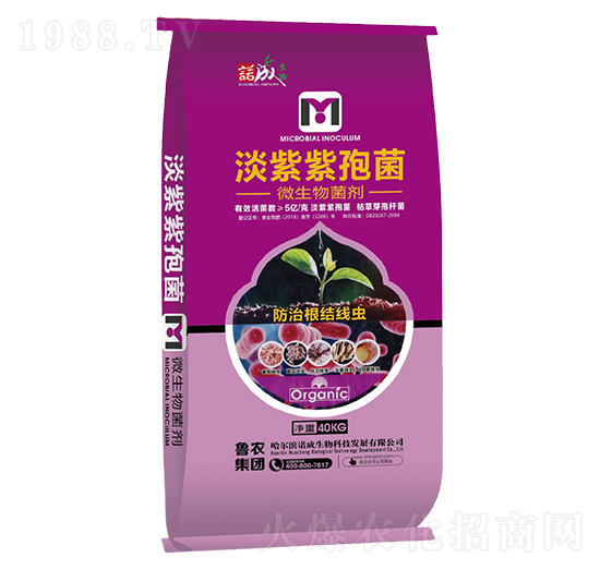 淡紫紫孢菌-諾成戰(zhàn)線-魯農(nóng)集團(tuán)