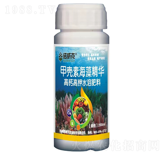 �ך��غ��徫�A-�Z����