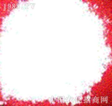 �r(n��ng)�_����-�ۄ���ͪ