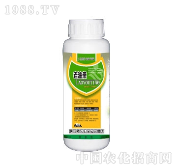 ����-���͗l