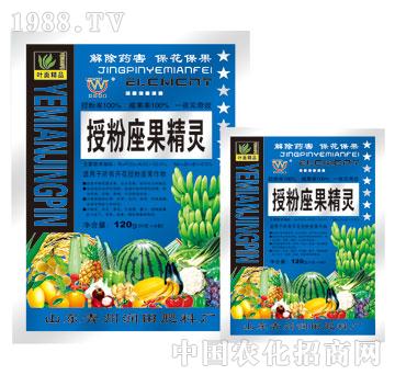 ����-�ڷ��������`