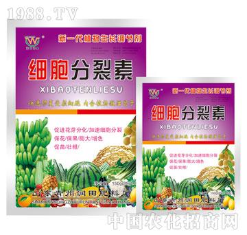 ����-����������