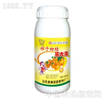 ��(r��n)��-���Ӹ��������