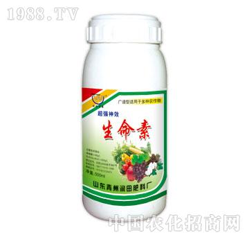 ����-������