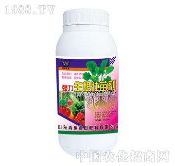 ����-��(qi��ng)���������焩