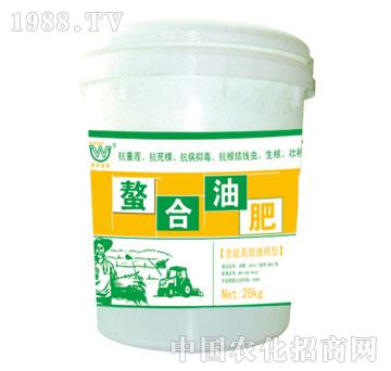 ��(r��n)��-�����ͷ�