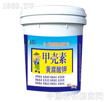 ��(r��n)��-�ך���20kg