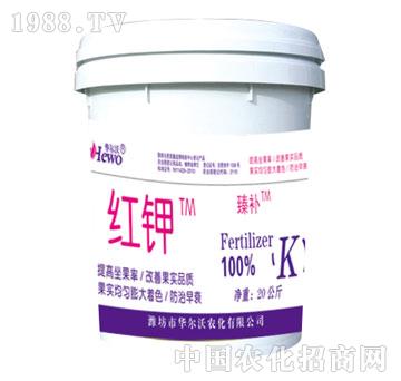 ����-�t�