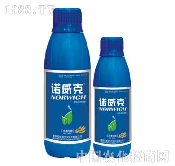 �ЙC(j��)����Һ�ʣ�С������