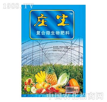 �ͺ�΢�������-�f��-