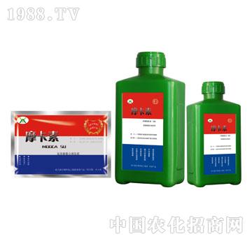 ����������Һ�ķʣ��M��